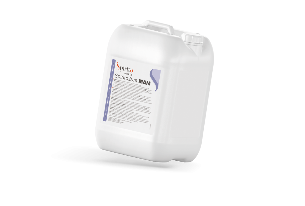 SpiritoZym MAM