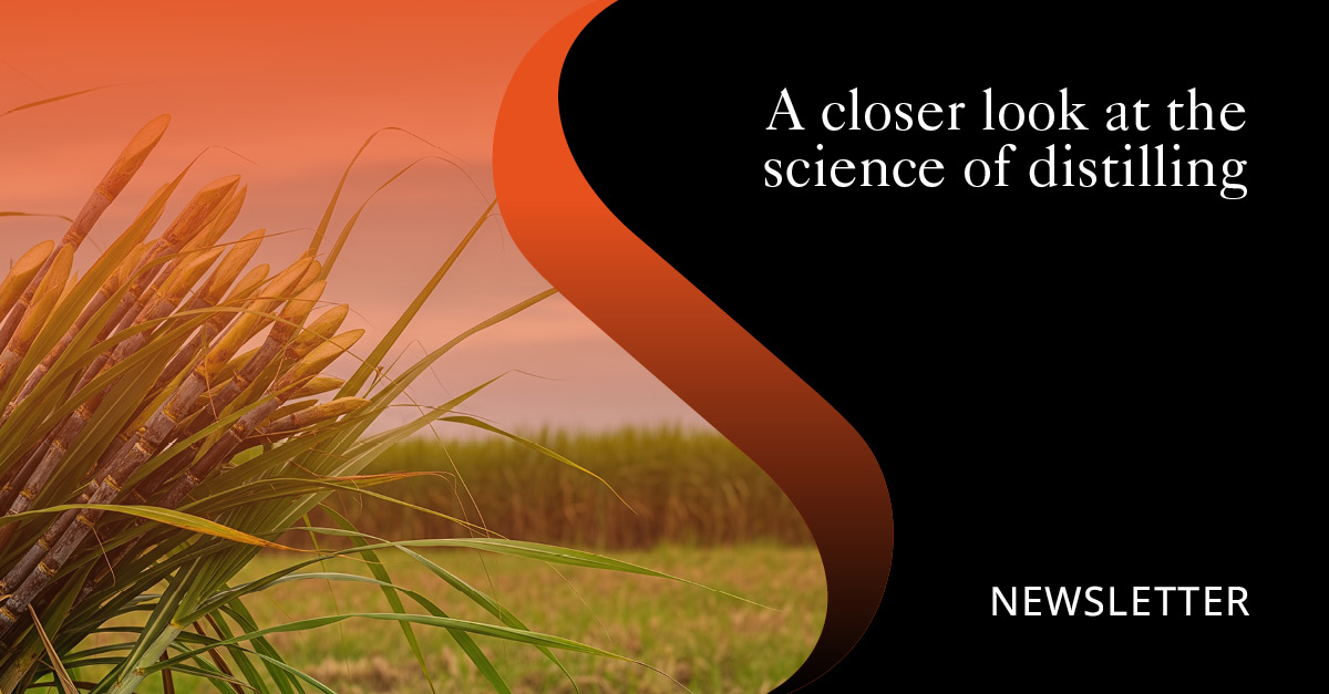 FROM SELECTION TO APPLICATION OF A NATIVE YEAST IN RHUM PRODUCTION